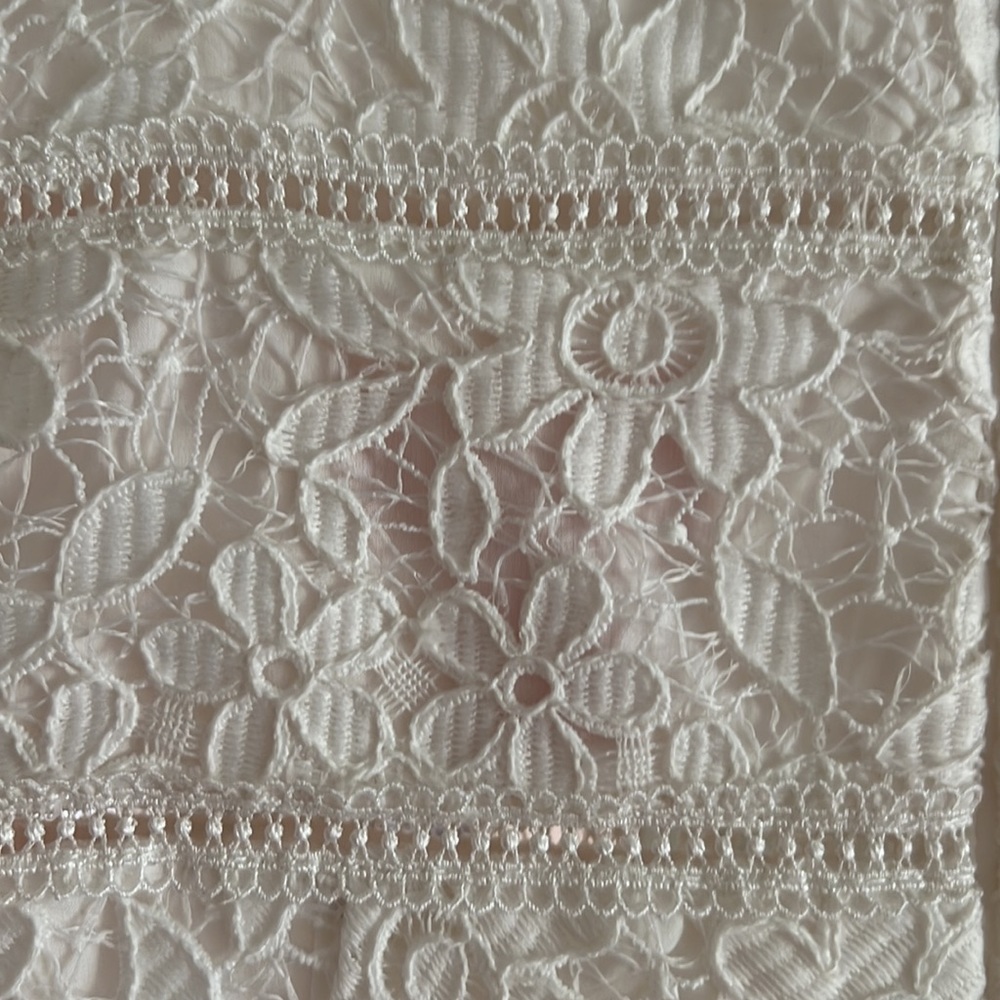 ML Fit and Flare Lace Dress - Picture 4 of 10